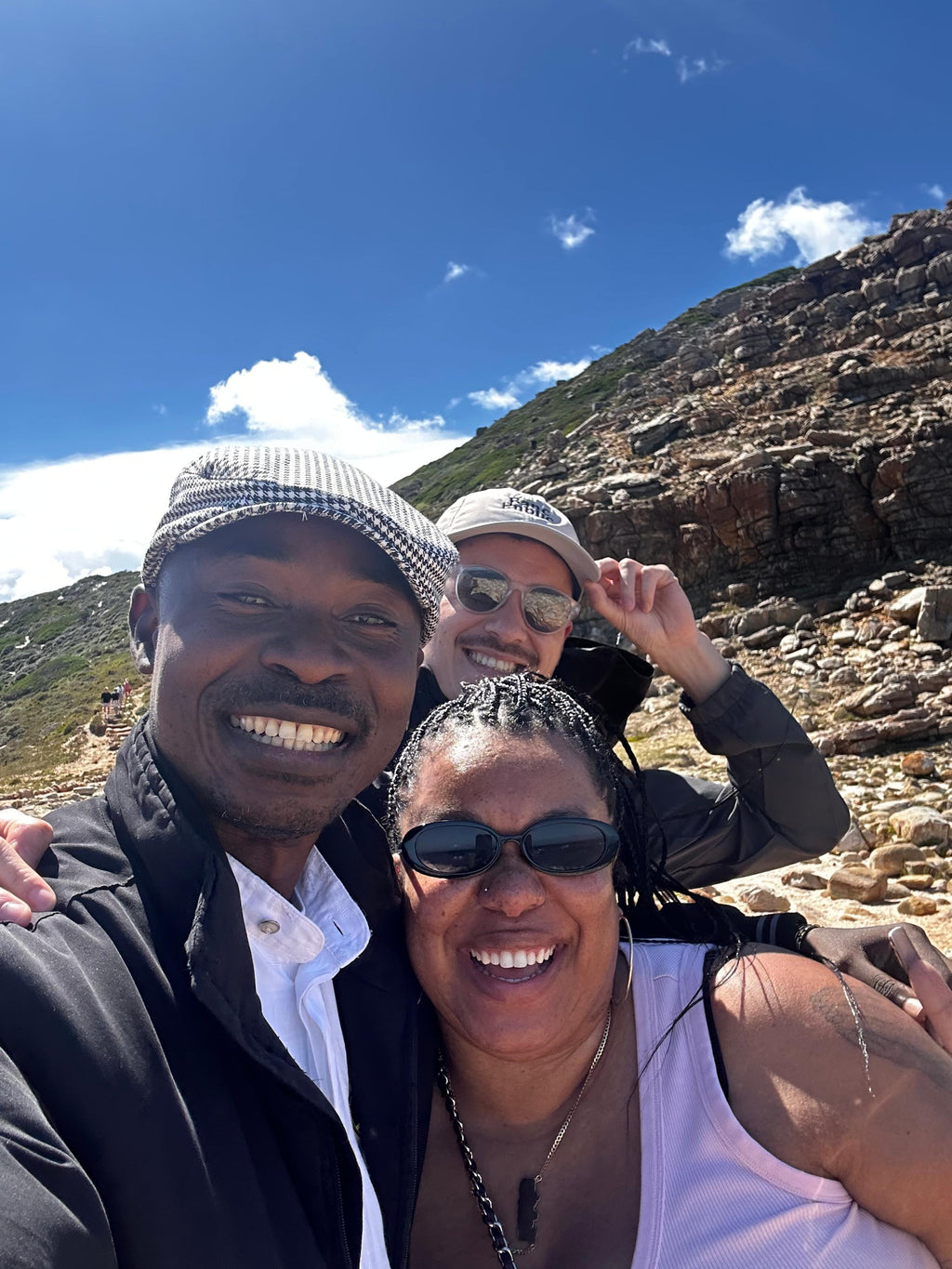 Cape Point & Cape of Good Hope Day Trip - Private tour per person