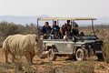 Aquila Game Reserves including wine testing with cheese and lunch