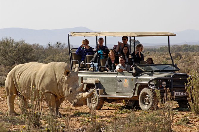 Aquila Game Reserves including wine testing with cheese and lunch