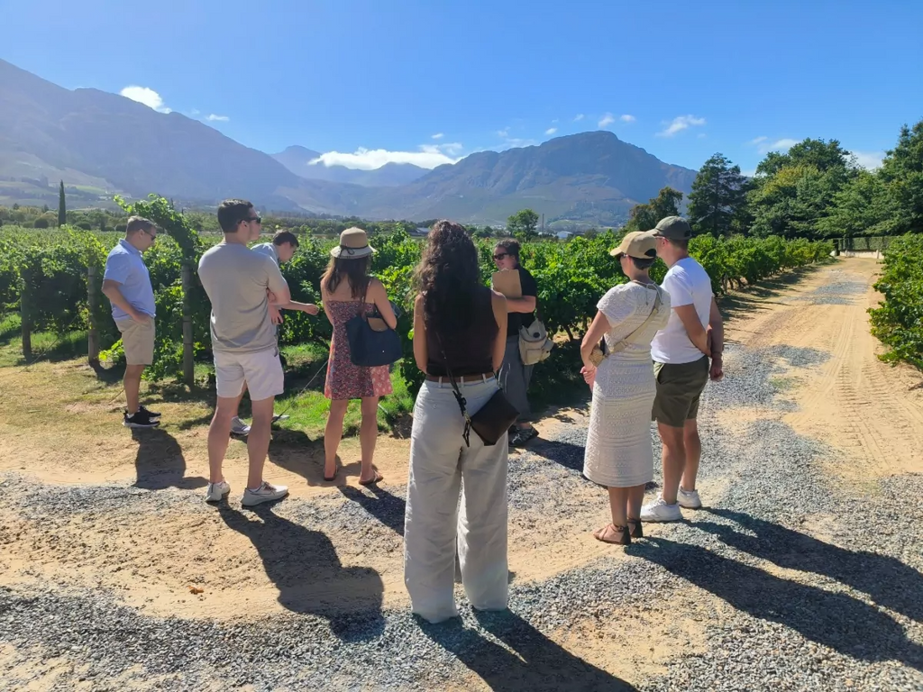 Private wine testing Per Person includes 16 Glasses of wine tasting with Cheese and Lunch