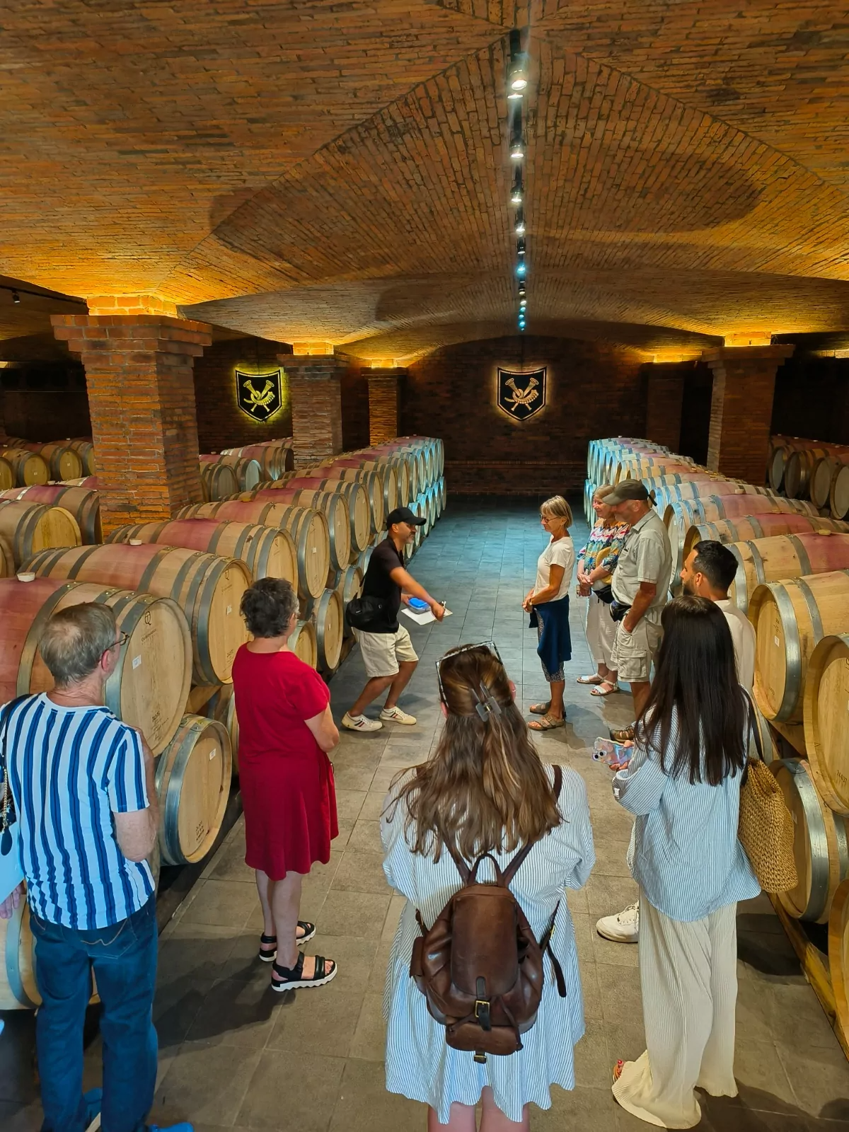 Private wine testing Per Person includes 16 Glasses of wine tasting with Cheese and Lunch