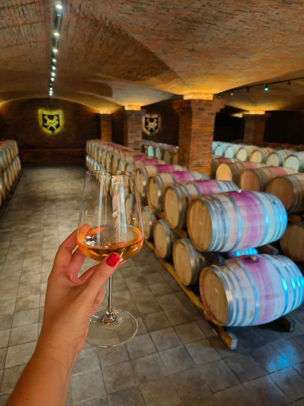 Wine testing Stellenbosch and Franshoek (Including Lunch & Wine Tasting Fees) more than 12 wine glasses with cheese