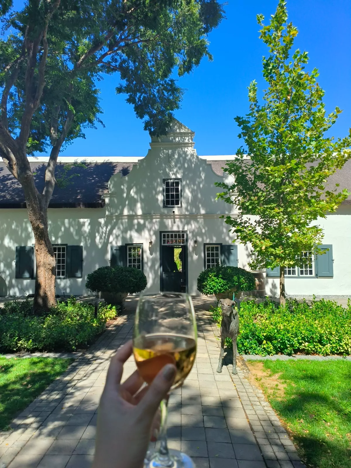 Private wine testing Per Person includes 16 Glasses of wine tasting with Cheese and Lunch