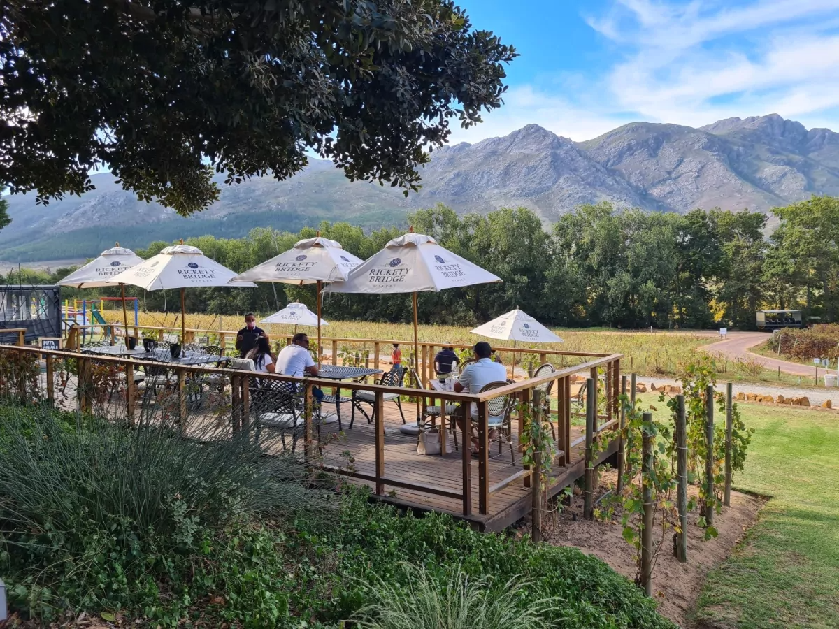 Wine testing Stellenbosch and Franshoek (Including Lunch & Wine Tasting Fees) more than 12 wine glasses with cheese