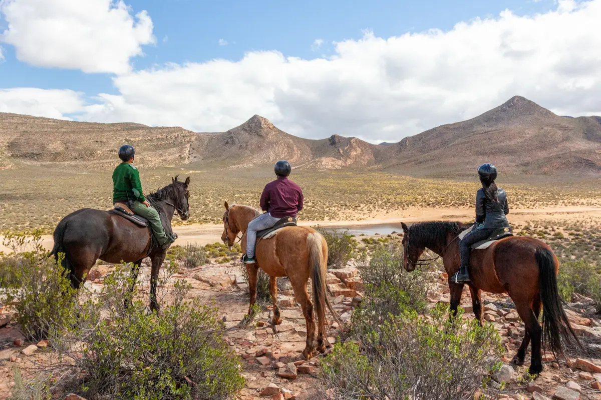 Aquila Private Games Reserve Safari including wine tasting with free lunch and return transportation