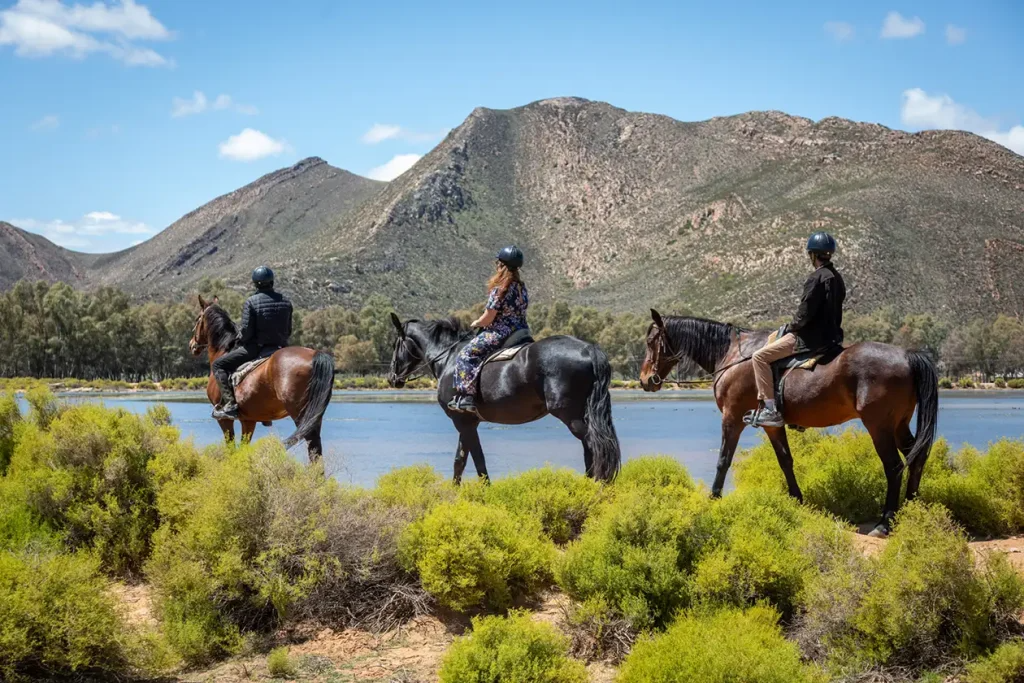 Aquila Private Games Reserve Safari including wine tasting with free lunch and return transportation
