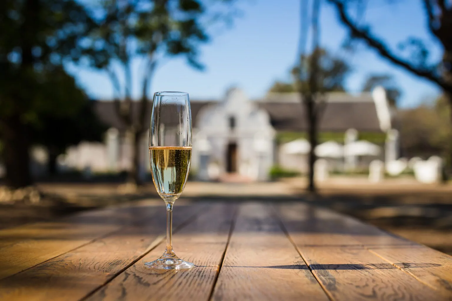 Wine testing Stellenbosch and Franshoek (Including Lunch & Wine Tasting Fees) more than 12 wine glasses with cheese